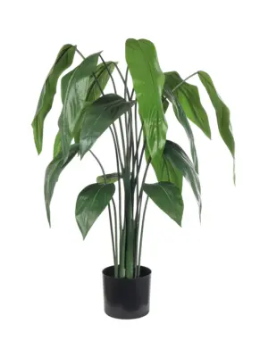 Smalblad Namaak Banaanplant Quito 115cm