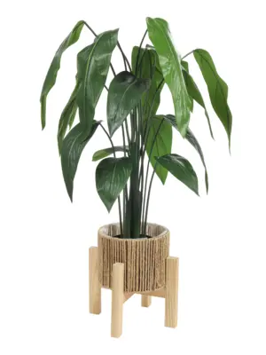 Smalblad Namaak Banaanplant Quito 115cm