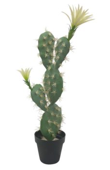 Nep Schijfcactus El Paso 55cm