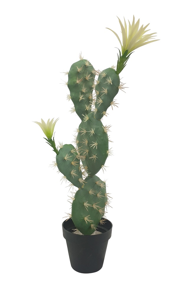 Nep Schijfcactus El Paso 55cm