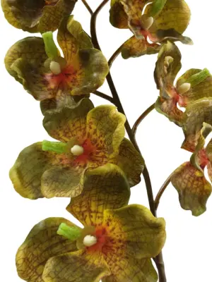 Bruin Gele Hang Kunst Orchidee 125cm