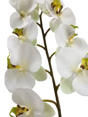 Witte Hang Kunst Orchidee 125cm