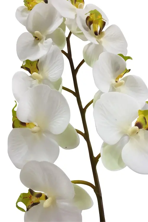 Witte Hang Kunst Orchidee 125cm
