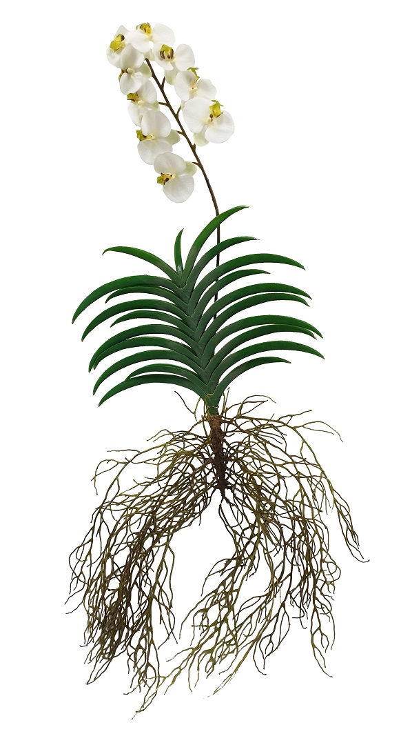 Witte Hang Kunst Orchidee 125cm