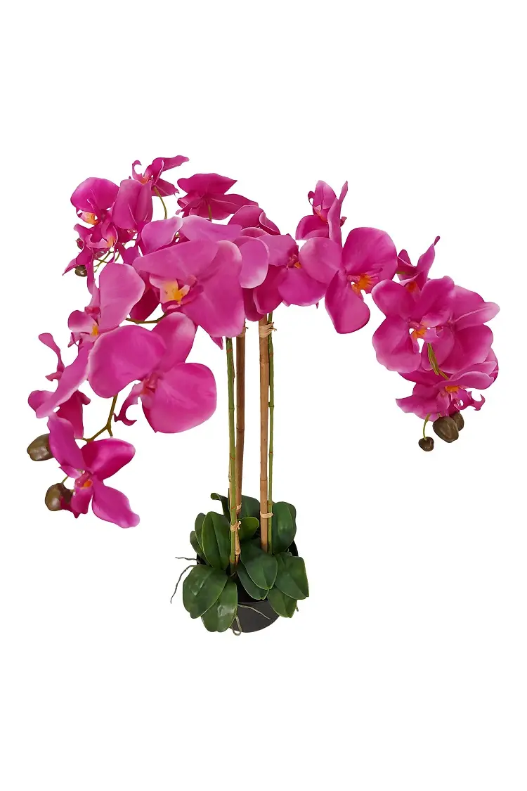 Grote Paarse Nep Orchidee