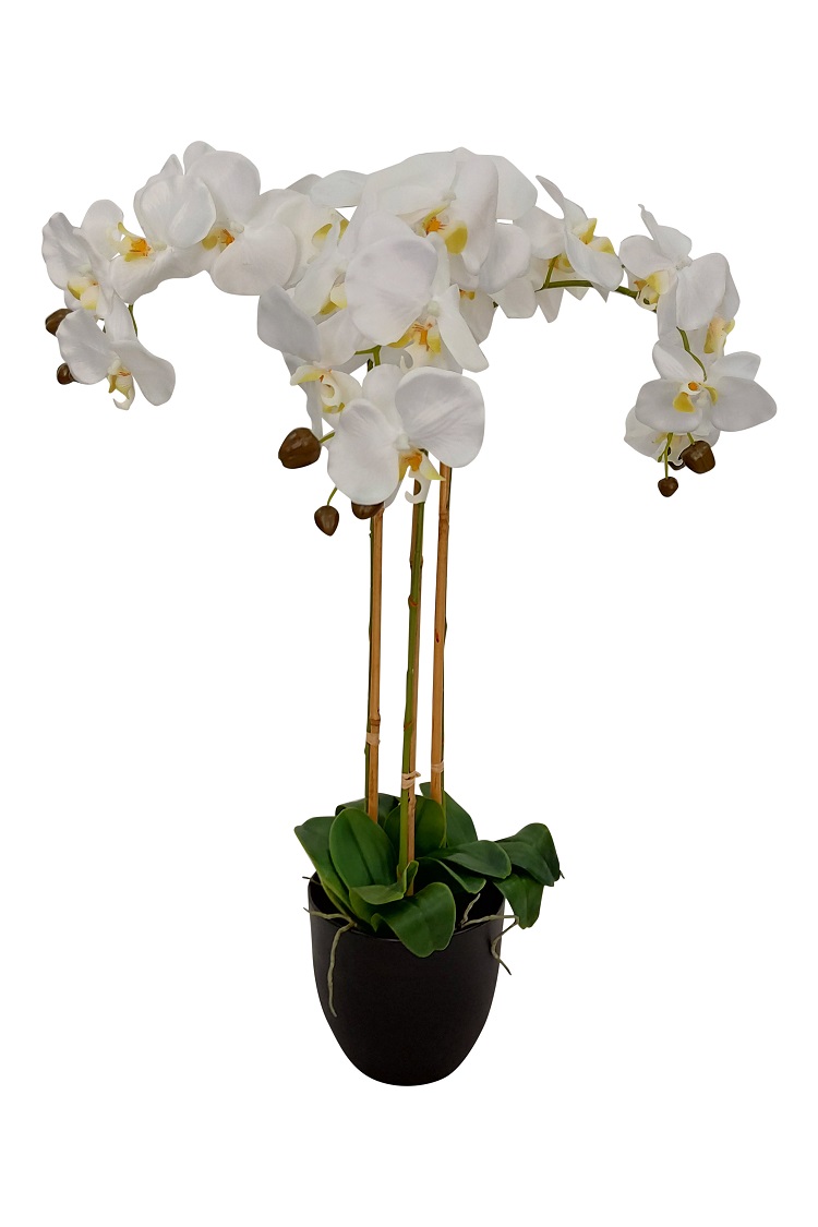 Grote Witte Nep Orchidee 80cm