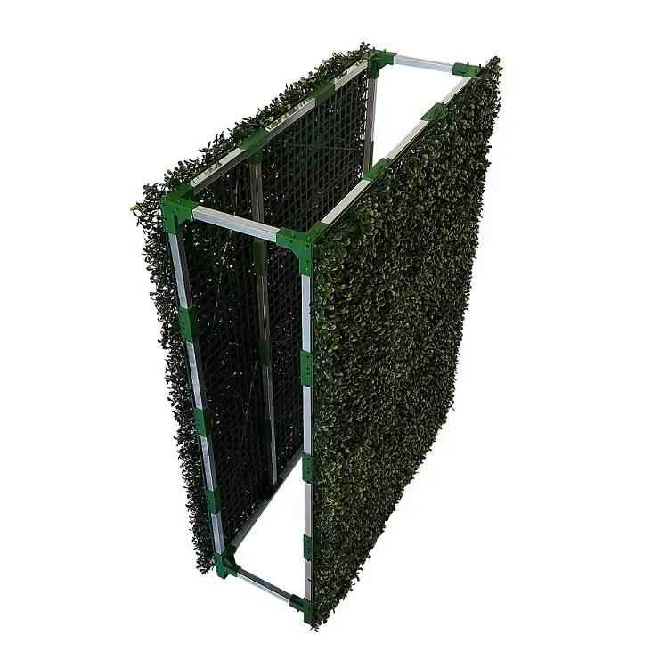 Kunst Buxus Heg Middel