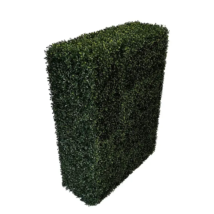 Kunst Buxus Heg Hoog