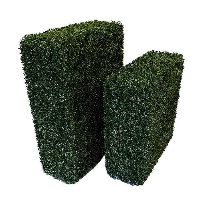 Kunst Buxus Heg Middel