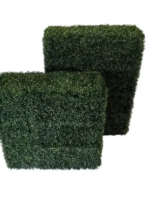 Kunst Buxus Heg