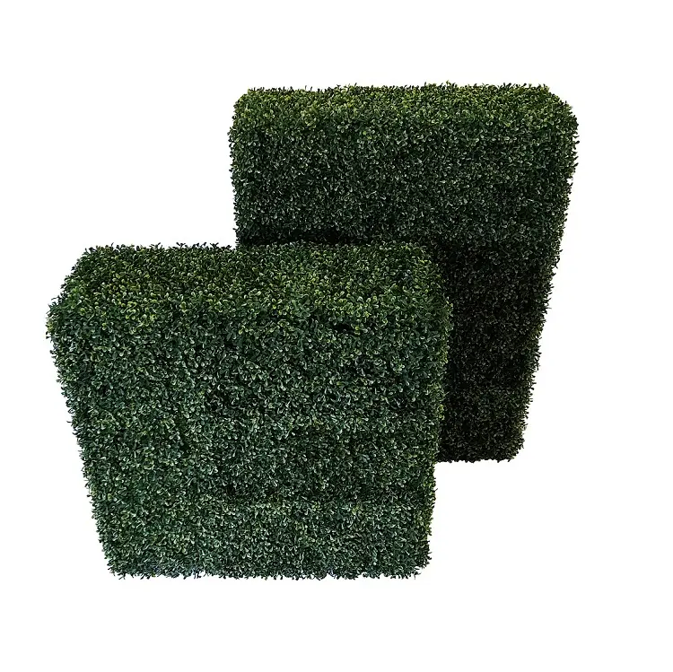 Kunst Buxus Heg
