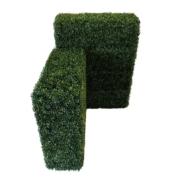 Kunst Buxus Heg