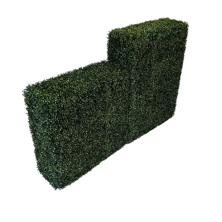 Kunst Buxus Heg