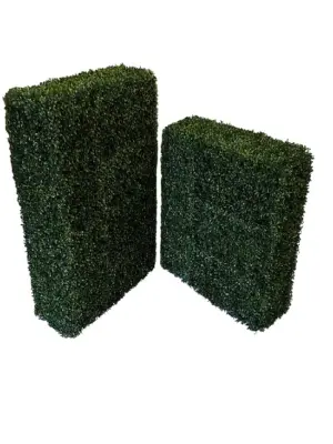 Kunst Buxus Heg Hoog