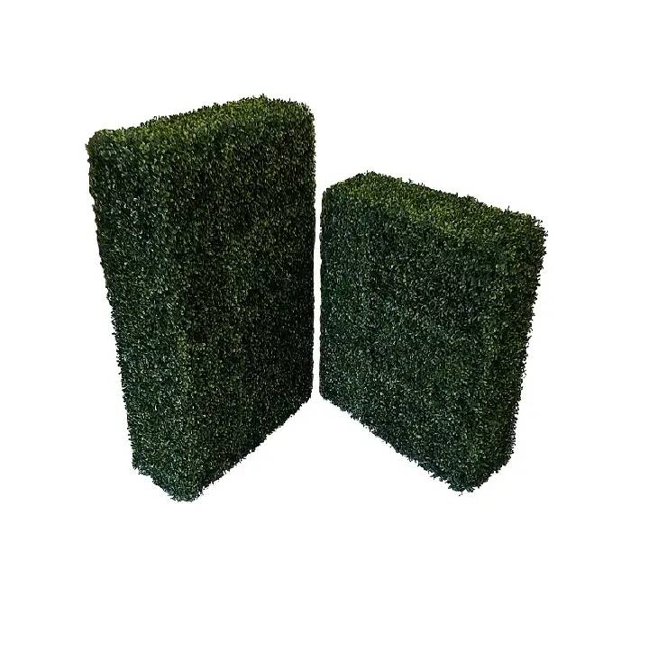 Kunst Buxus Heg Hoog