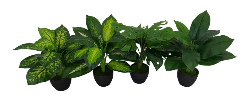 Kunst Anthurium Plant Met Zwarte Pot
