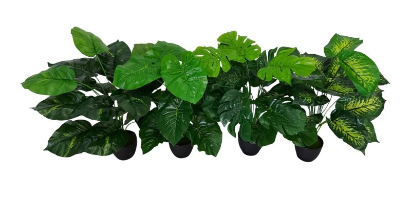 Kunst Maroba Plant Met Zwarte Pot 50cm