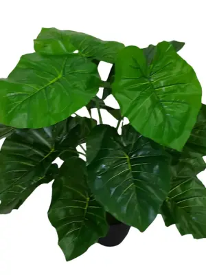 Kunst Taro Plant Met Zwarte Pot 50cm