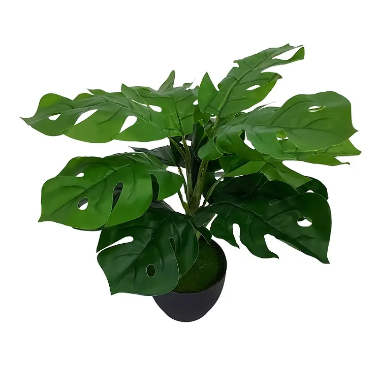 Nep Gatenplantje Met Zwarte Pot 35cm