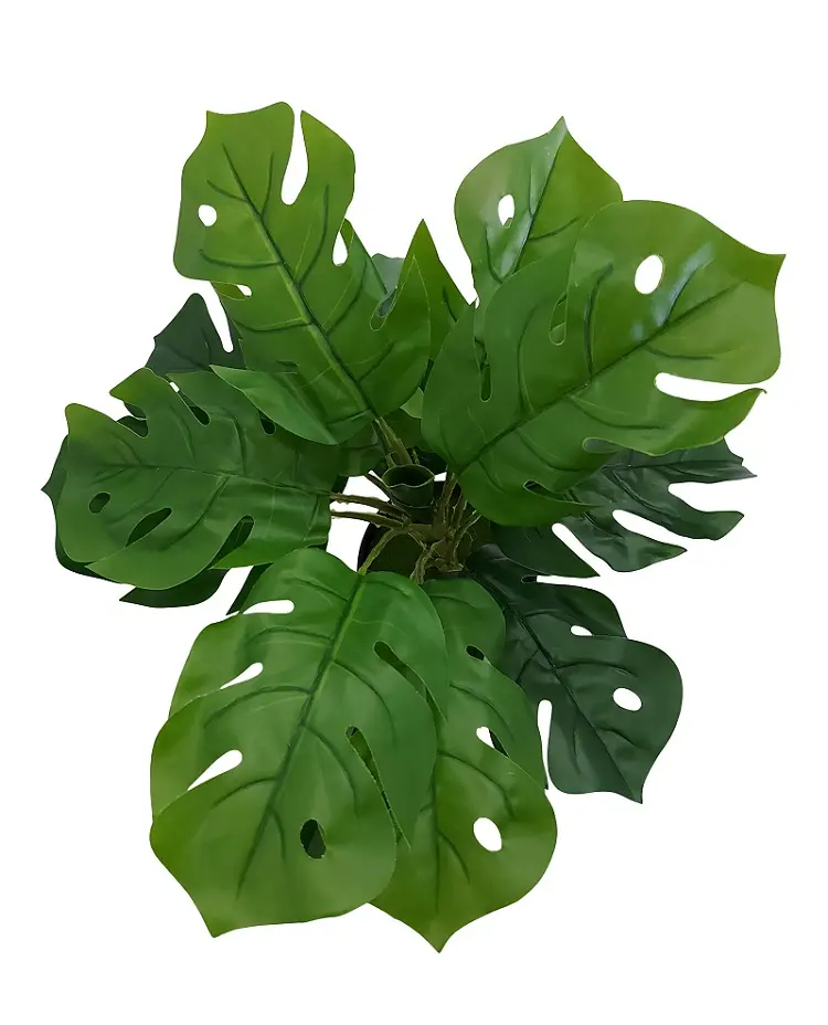 Nep Gatenplantje Met Zwarte Pot 35cm