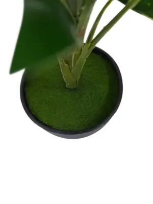 Zwarte Pot