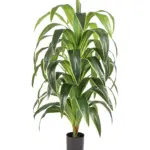 XXL Kunst Dracena 145cm