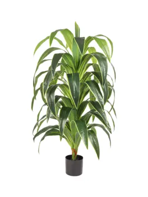 XXL Kunst Dracena 145cm