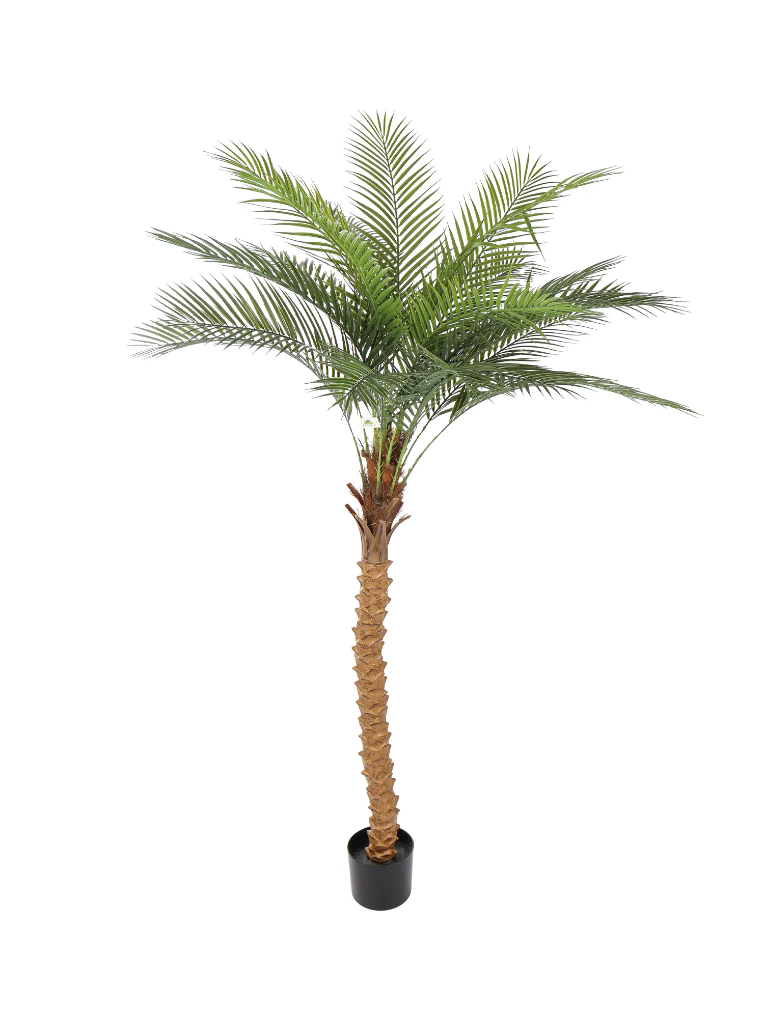 Natuurlijke nep palmboom van 175cm met kokosvezel kruin
