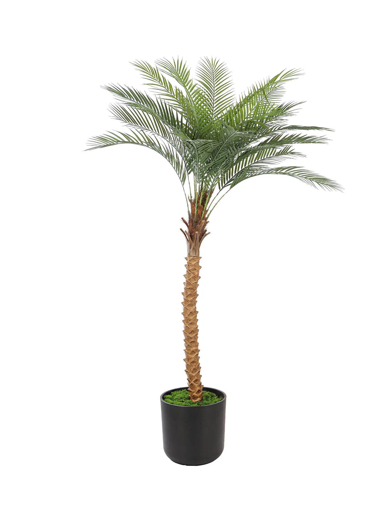 Nep palmboom voor balkon, terras of winkelruimte