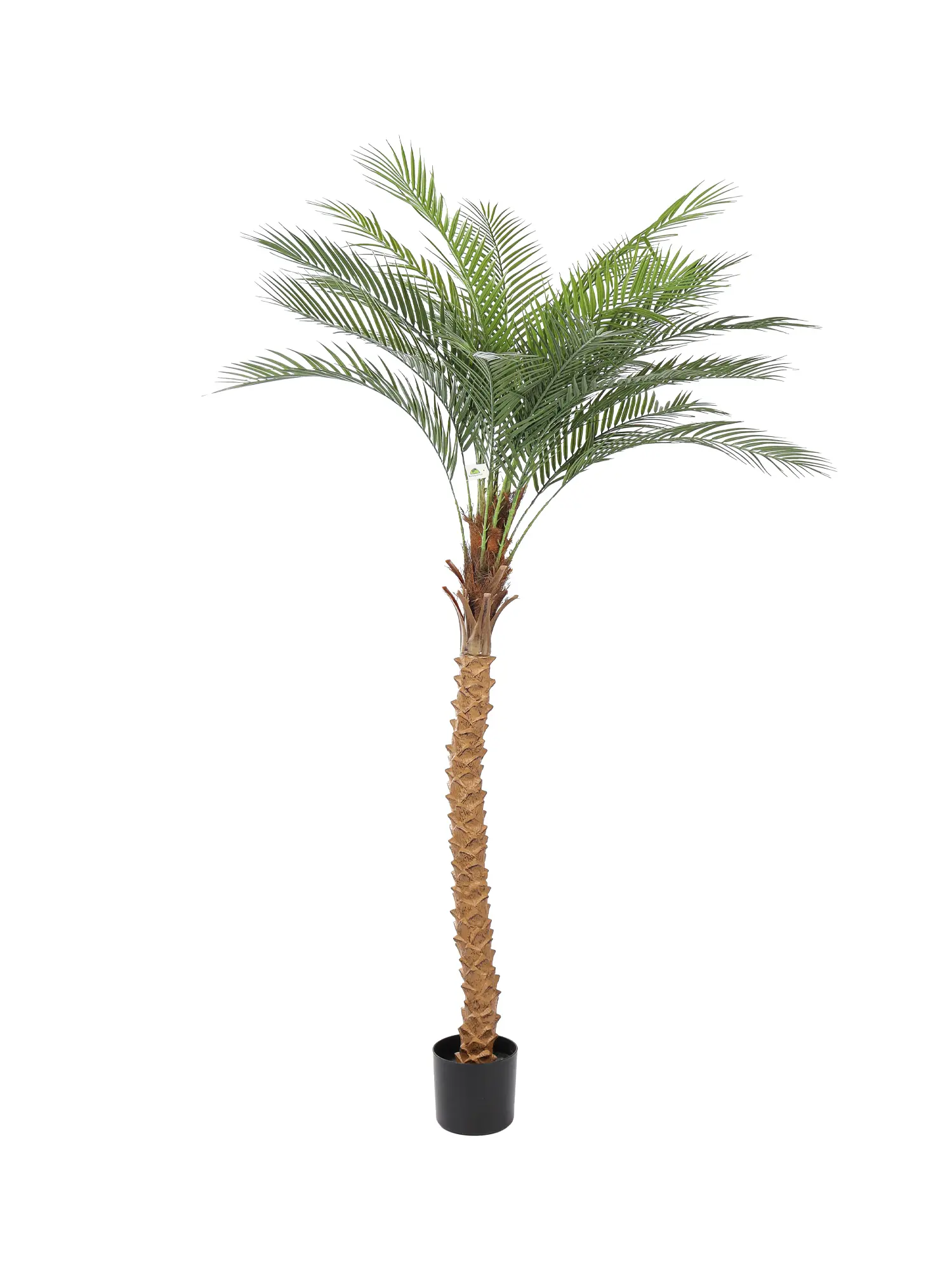 Kunstpalm Hawaii 175cm met gebogen stam en tropische uitstraling
