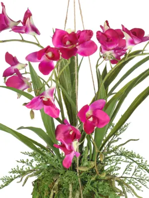 Mosbol kunstplant Orchidee fucsia – kunst kokodama 50 cm | Kunstpalm.nl