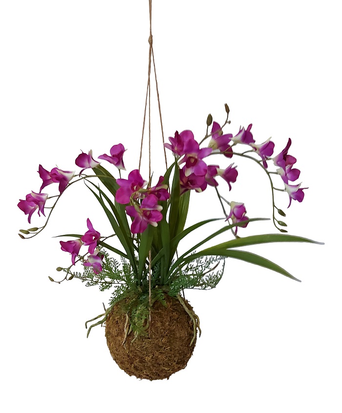 Kunst Kokodama Orchidee Fucsia 50cm