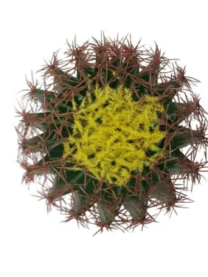Namaak Bolcactus In Pot 25cm van Kunstpalm.nl