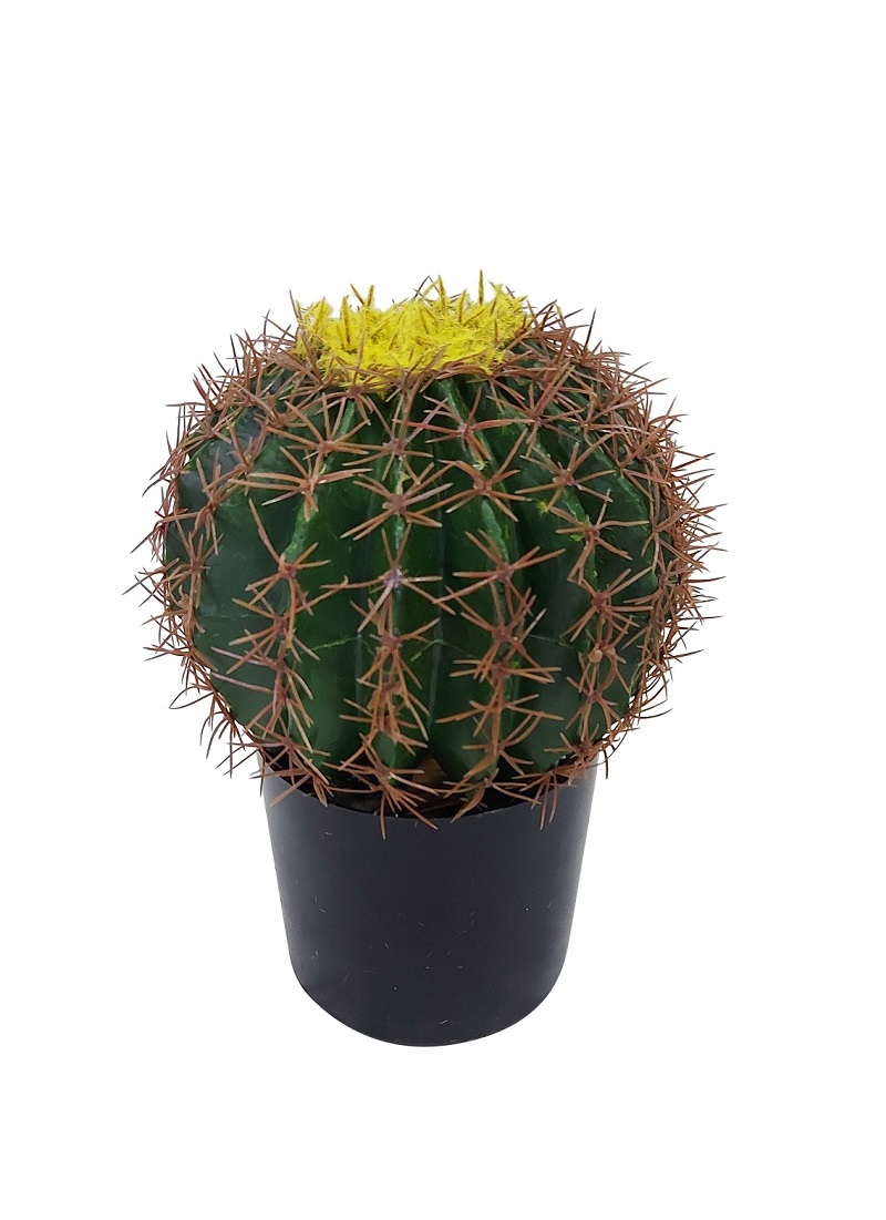 Namaak Bolcactus In Pot 25cm