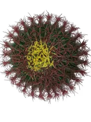 Namaak Bolcactus In Pot 45cm van Kunstpalm.nl