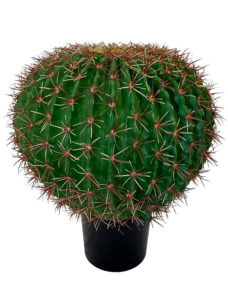 Namaak Bolcactus XXL In Pot 60cm