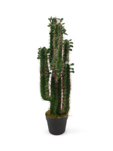 Namaak Cactus Osaka 76cm