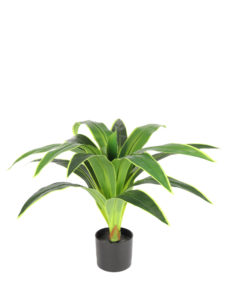 Namaak Dracena Kunstplant 80cm