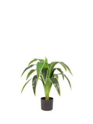 Namaak Dracena Kunstplant 80cm