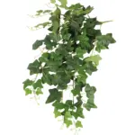 Brandvertraagde Hedera Hanger 80cm