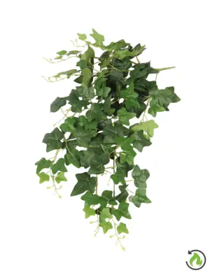 Brandvertraagde Hedera Hanger 80cm