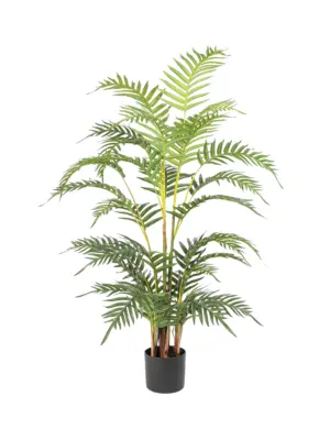 Namaak Arecapalm Puerto Rico 115cm