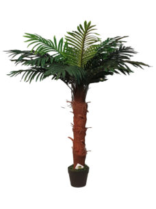 Nep Palmboompje Samoa 110cm