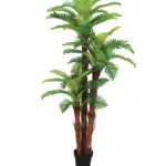 Varenpalm Fiji 185cm
