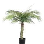 Kunst Palm Hawaii Small 100cm