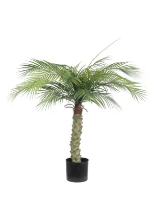 Kunst Palm Hawaii Small 100cm