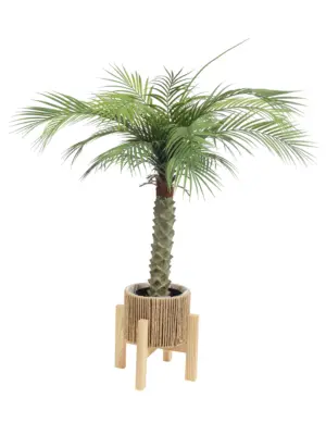 Kunst Palm Hawaii Small 100cm in pot