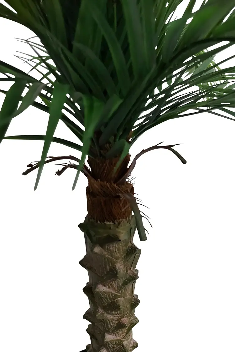 Kunst Palm Hawaii Small 100cm