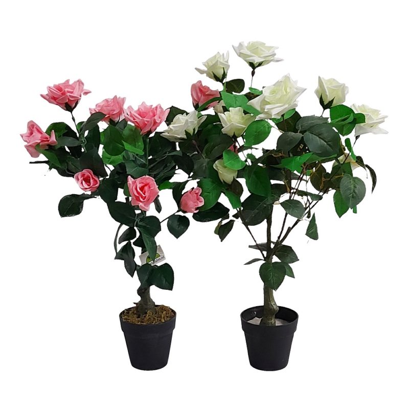 Kunst Rozenplant Met Roze Bloemen