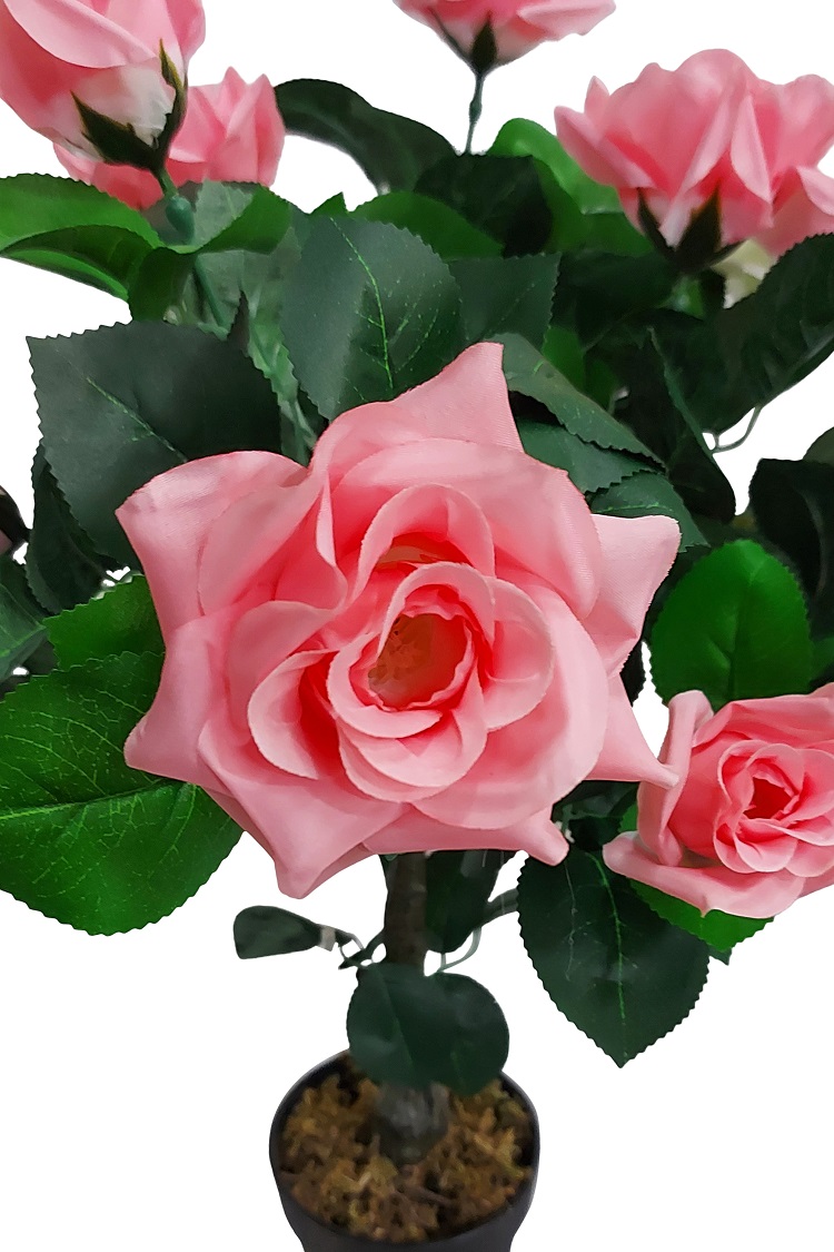 Kunst Rozenplant Met Roze Bloeme